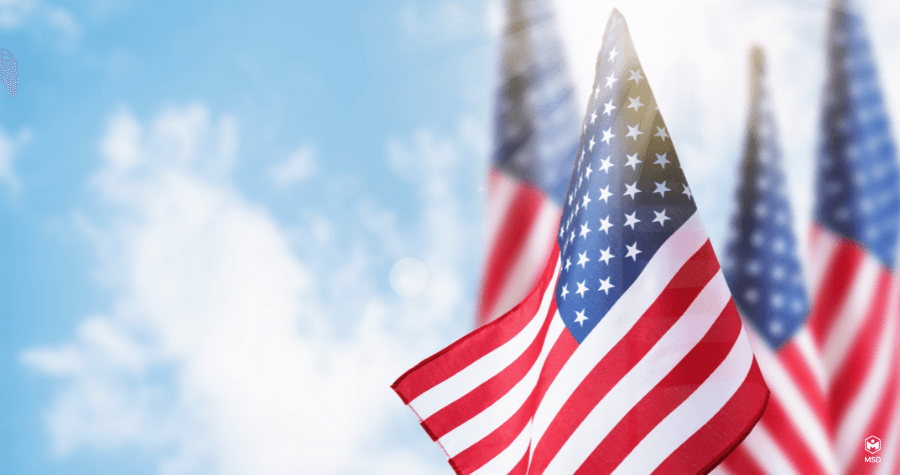 Observing Memorial Day